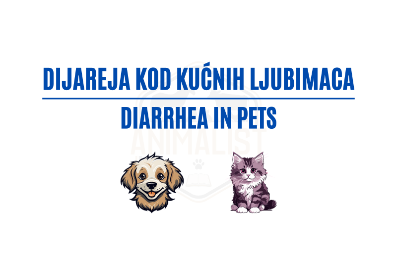 Diarrhea in pets_new