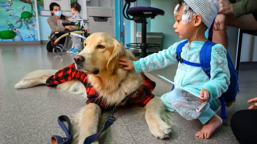 Slika 1. Terapeutski psi u posjeti dječijoj bolnici (Foto: Texas Children's Hospital)