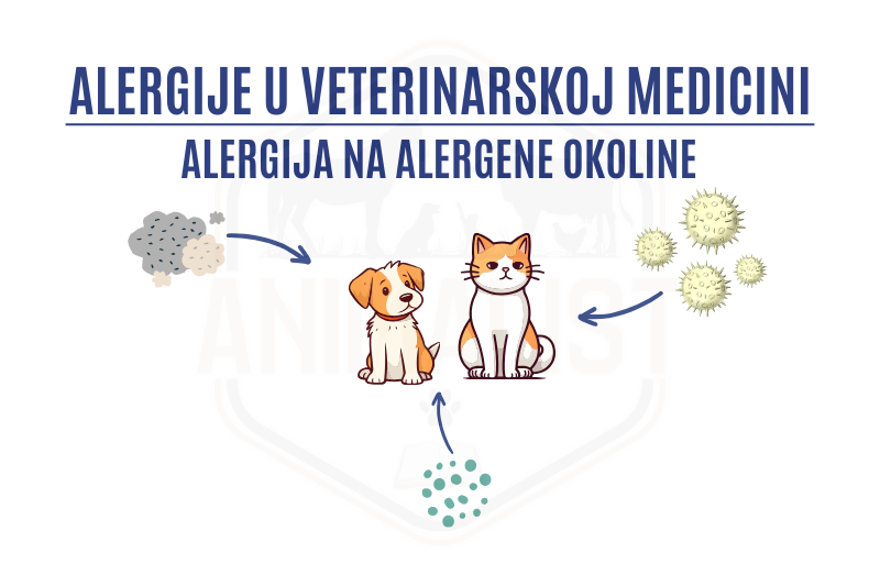 alergija na alergene okoline_naslovna (foto: Canva)