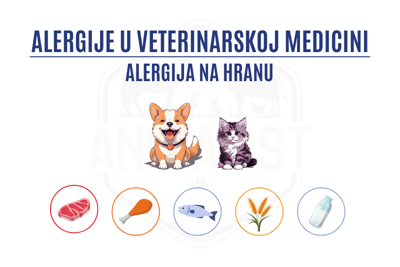 Alergija na hranu_NASLOVNA