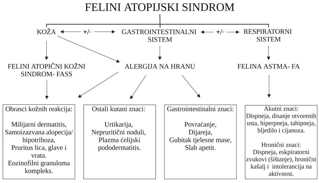 Figure 2. Clinical signs in cats with feline atopical syndrome (data from: Santoro et al., 2021)