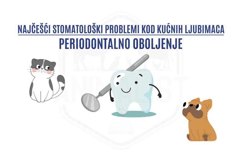 Naslovna_periodontalo oboljenje